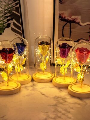 Valentines Day Gift Eternal Rose Flowers LED Light In Glass Cover